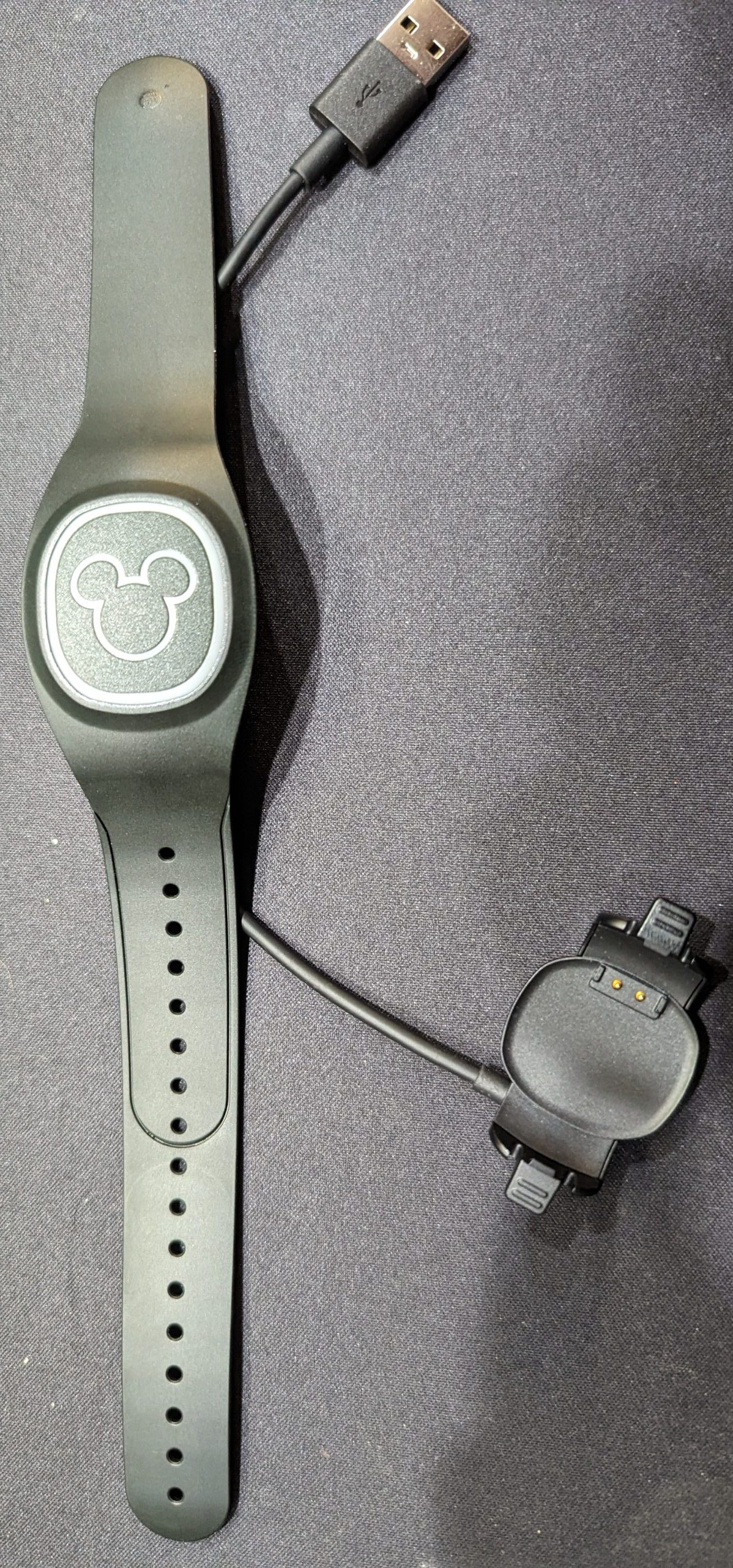 Walt Disney World Introduces Interactive MagicBand+